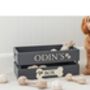 Large Coloured Dog Toy Storage Box With Raised Design, thumbnail 1 of 11