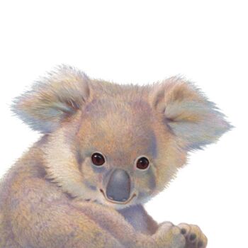 Illustrated Koala Print, 2 of 3