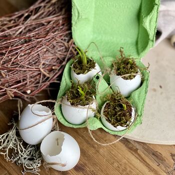 Hanging Eggs Filled With Muscari, 4 of 8
