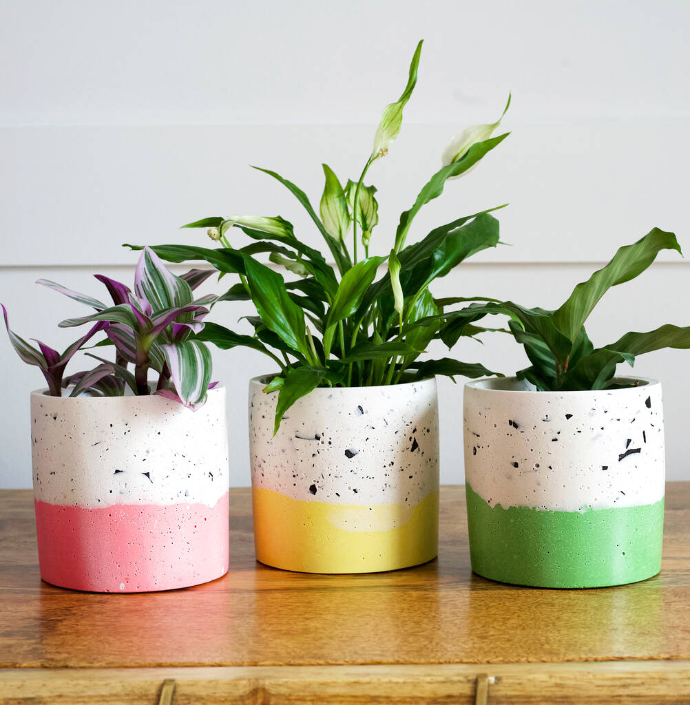 Handmade Green And Cream Plant Pot By Four Homeware