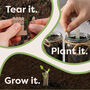 Personalised Thyme Desktop Cube Garden, thumbnail 2 of 6