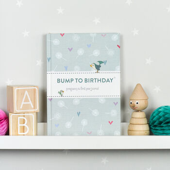 'Bump To Birthday' Journal, 7 of 12