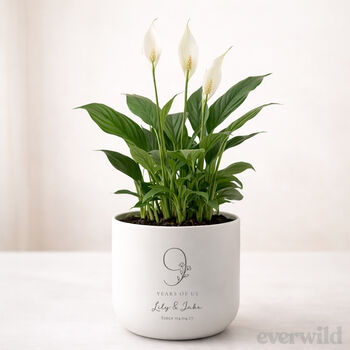Personalised 9th Anniversary Plant Pot With Plant, 4 of 9