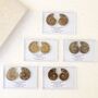 Cleoniceras Ammonite Fossil Pair, thumbnail 8 of 10