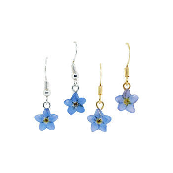 Forget Me Not Sterling Silver Or Gold Plated Earrings, 3 of 6