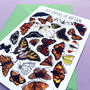 Butterflies Of Britain Art Blank Greeting Card, thumbnail 9 of 10