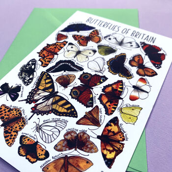 Butterflies Of Britain Art Blank Greeting Card, 9 of 10