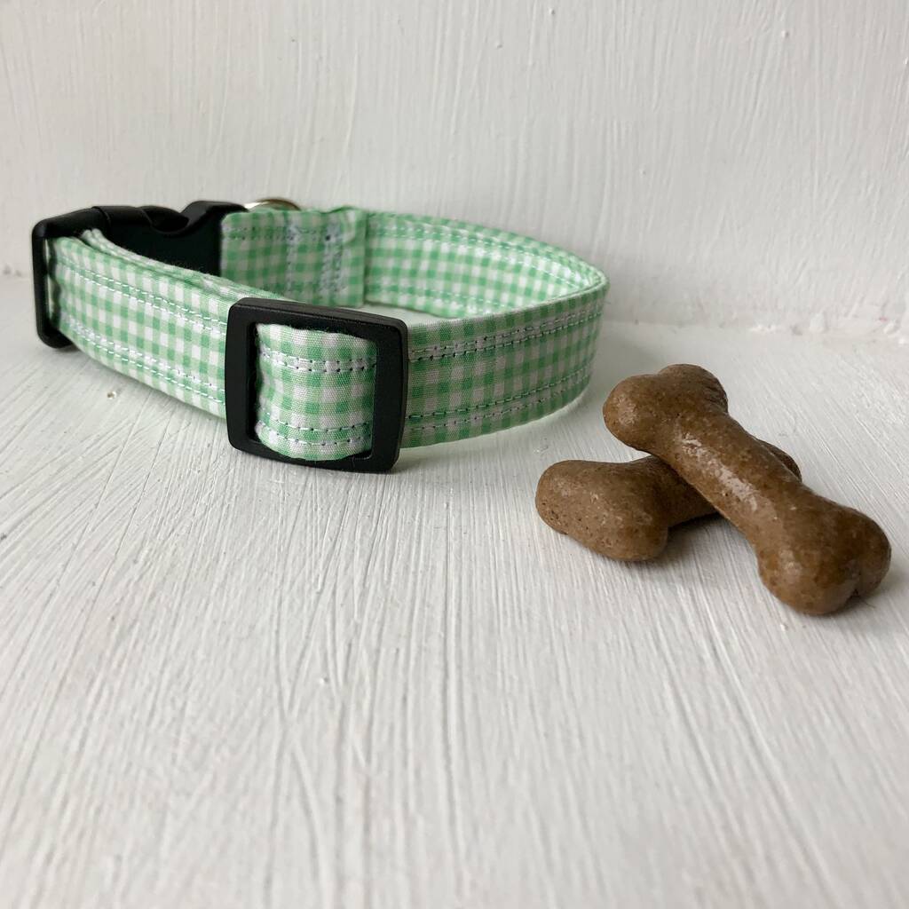 Green Dog Collar And Lead For Girl Or Boy Dogs By Charlie and Boo