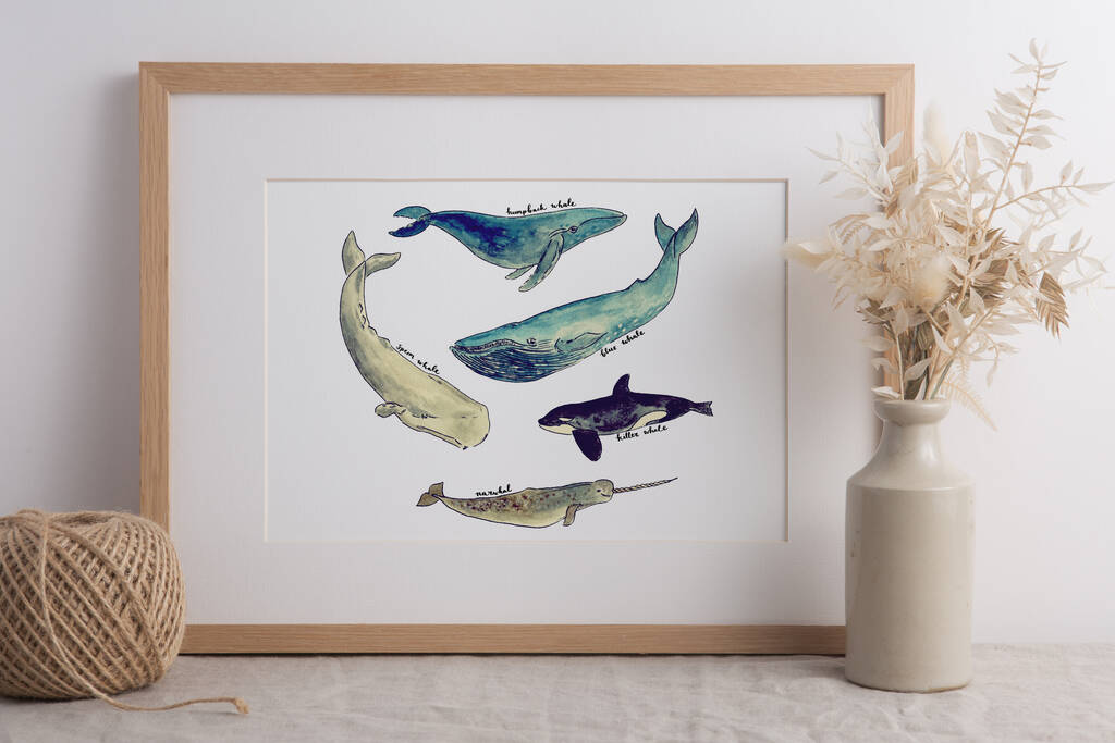 Deep Sea Whales Art Print By Wildflower Illustration Co ...