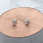 Tiny Bee And Honeycomb Earrings, thumbnail 1 of 2