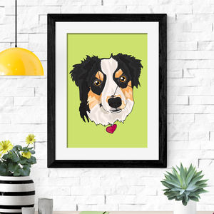 Pet Portraits | notonthehighstreet.com