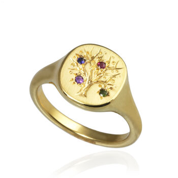 Family Tree Signet Ring With Birthstones, 4 of 12