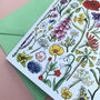 Wildflowers Of Britain Art Blank Greeting Card, thumbnail 12 of 12