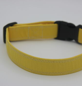 Yellow Dog Collar, 8 of 10