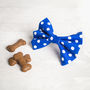 Blue Or Turquoise Dog Bow/ Bow Tie For Dogs, thumbnail 2 of 4