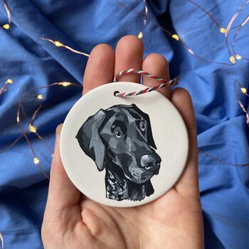 Custom Christmas Bauble Decoration Of Your Pet, 9 of 11