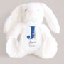 White Personalised Bunny Rabbit Boy Soft Toy, thumbnail 1 of 2