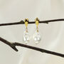 Gold Tops And Shell Pearl Earrings, thumbnail 1 of 4