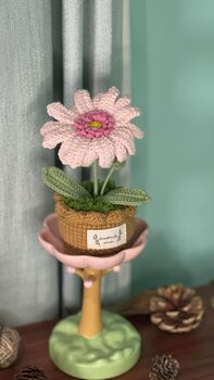 Crochet Pot Flowers Best Gift For Every Occasions, 4 of 12