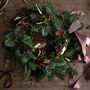 Make It Yourself Christmas Wreath Kit, thumbnail 1 of 2