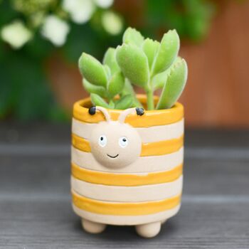 Bee Ladybird Planter With Choice Of Plant, 2 of 3