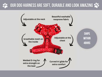 Red Heart Dog Harness Set, 3 of 7