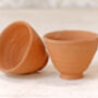 Egg Cup Terracotta Plant Pot Set, thumbnail 2 of 3