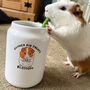 Personalised Guinea Pig Treat Jar And Treat Bag, thumbnail 2 of 7