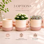 Personalised Wedding Gift Plant Pot With Optional Plant, thumbnail 3 of 7