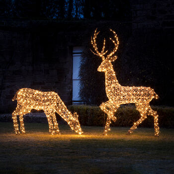 Grand Rattan Stag Light Up Figure, 3 of 3