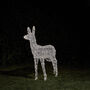 Swinsty Doe Dual Colour LED Battery Outdoor Reindeer, thumbnail 3 of 3