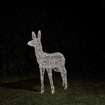 Swinsty Doe Dual Colour LED Battery Outdoor Reindeer, 3 of 3