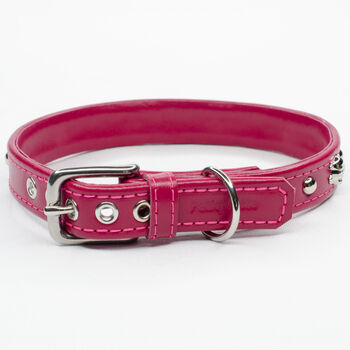 Skull And Crossbones Leather Dog Collar, 5 of 7