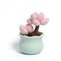 Tranquil Crochet Succulent Plants, thumbnail 8 of 12
