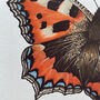 Illustrated Small Tortoiseshell Butterfly Card, thumbnail 5 of 6