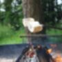 Marshmallow Toasting Workshop For Two, thumbnail 1 of 6