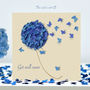 Get Well Soon Blue Hydrangea And Butterflies Card, thumbnail 1 of 8