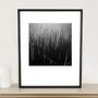 Water Reeds, Lopham Fen, Suffolk Photographic Art Print, thumbnail 1 of 4