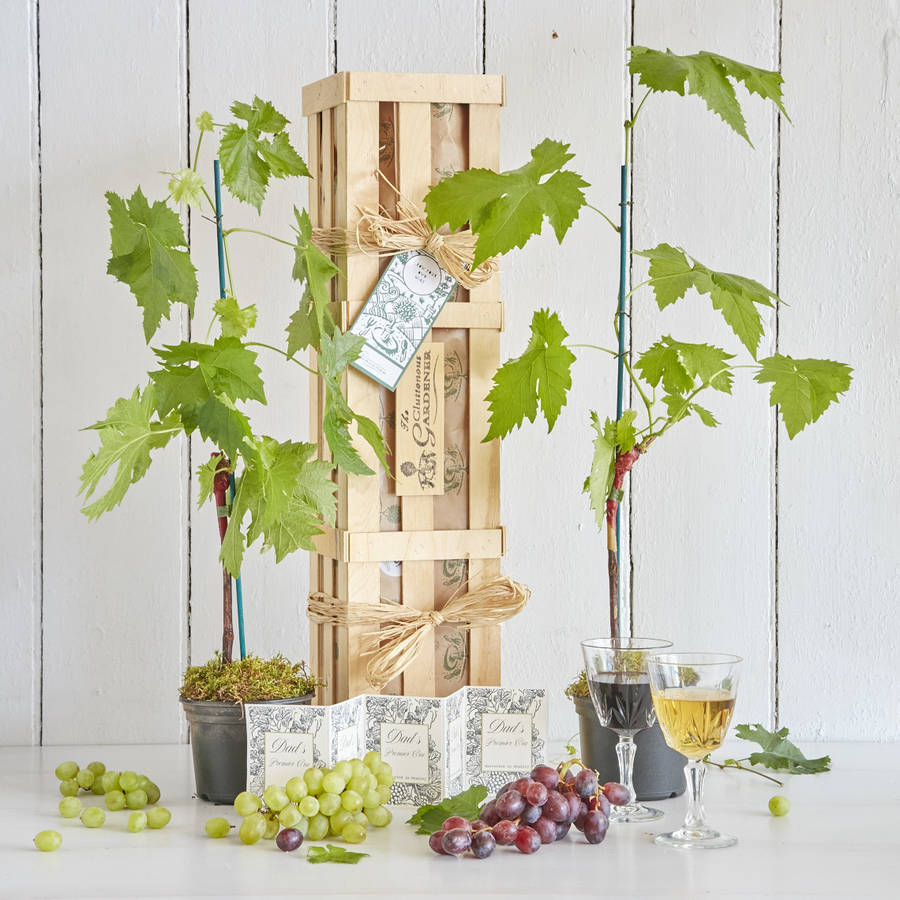 Grow Your Own Wine Gift Crate, 1 of 10