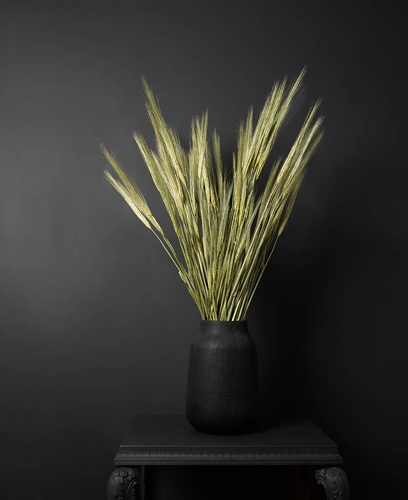 Image of Dried Barley Bouquet Preserved Stems Bunch
