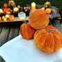 Velvet Pumpkins With Lights, thumbnail 2 of 6