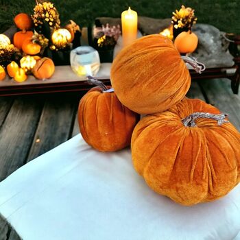 Velvet Pumpkins With Lights, 2 of 6