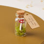 Personalised Tiny Toadstool Message Bottle Gift, thumbnail 1 of 3