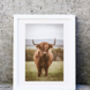 Highland Cow Photography Print One, thumbnail 2 of 2
