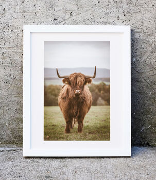 Highland Cow Photography Print One, 2 of 2
