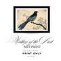 Art Print | Vintage Blue Bird Wall Art | Nature Inspired Home Decor, thumbnail 5 of 12