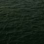 Hoy Classics Hoodie Deep Green, thumbnail 3 of 4
