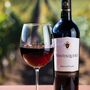 On Demand Video And Chilean Wine Tasting Pack, thumbnail 1 of 2