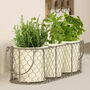 Grey And Cream Three Plant Pots In Basket, thumbnail 3 of 8