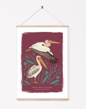 Great White Pelican Print, 2 of 3
